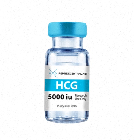 Achat HCG Meilleur Prix